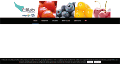 Desktop Screenshot of elifab.com